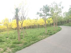 -东郊湿地公园