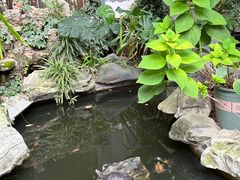 -谷咖啡·鲜花绿植花园餐厅