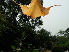 -中国科学院西双版纳热带植物园