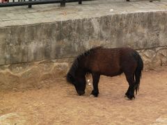 -石家庄市动物园