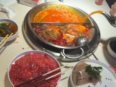 -小龙坎火锅(春熙太古里店)