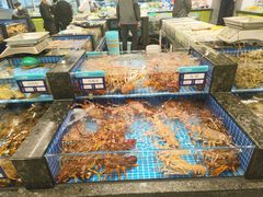 -东海怡品海鲜豆捞(舟宿夜江店)