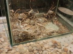 -钱小奴创意自助餐厅·山野黑猪肉畅吃(苏州昆山招商花园城店)