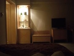 -南京维景国际大酒店(南京博物院店)