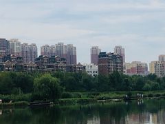-前关湿地公园