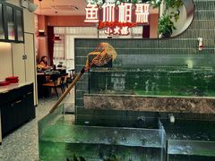 -鱼你相聚·河鲜馆(袁家岭店)