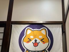 -逗柴咖啡屋·狗咖猫咖宠物桌游