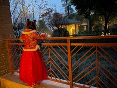 -成都安仁福朋喜来登酒店