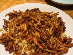 -缘生态云南菜·野生菌庭院餐厅(华侨城店)