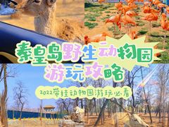 -秦皇岛野生动物园