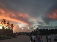 -贡湖湾湿地公园