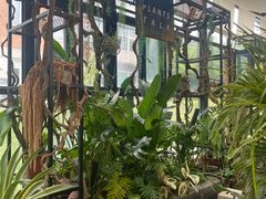 -北马山庄植趣咖啡
