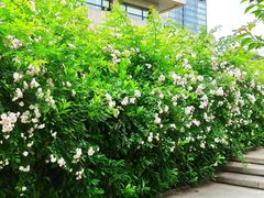 -UNI UNI(环亚凯瑟琳店)