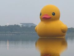 -深圳人才公园