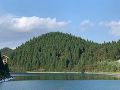 -武陵山森林公园