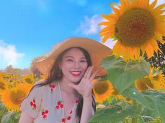 -汉长安城未央宫国家考古遗址公园