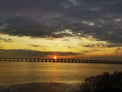 -宝安西湾红树林湿地公园