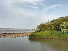 -上海吴淞炮台湾国家湿地公园