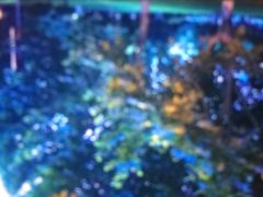 -天津武清北运河郊野公园房车露营地