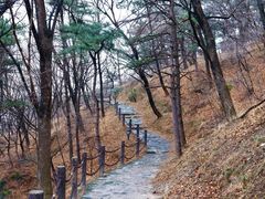 -阳台山自然风景区