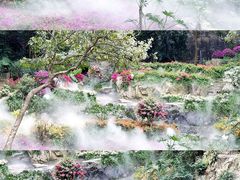 -广州市白云山风景名胜区