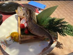 -鸟山鸣·日料食堂(王府井店)