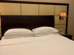 -维也纳国际酒店(深圳新洲店)