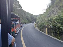 -杭州野生动物世界