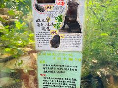 -红山森林动物园