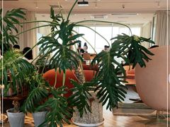 -COFFEEOLOGY咖啡学(天银店)