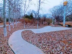 -滨河世纪广场公园