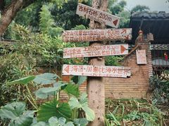 -南山植物园