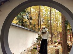 -东平国家森林公园