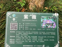 -广西壮族自治区药用植物园