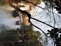 -定园