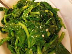蒜蓉豆苗-强记海鲜菜馆