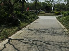 -上海海湾国家森林公园