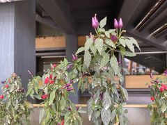 -中国天府农业博览园