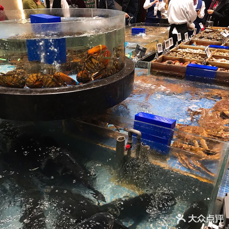 总能在高佳庄全身心感受到秋天的海是什么味道。