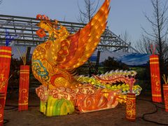 -南宫五洲植物乐园