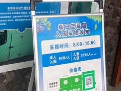 -森田蓝莓采摘园