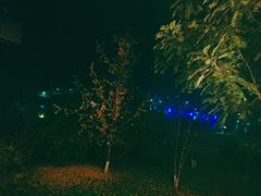 -星湖特色餐厅· 三岔湖环球融创天堂洲际酒店