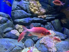 -成都浩海立方海洋公园