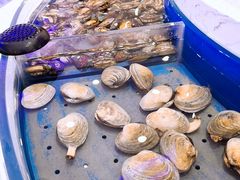-澜悦港海鲜体验主题餐厅