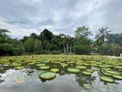 -中国科学院西双版纳热带植物园