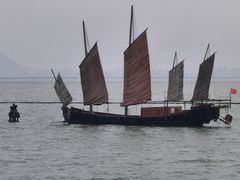 -贡湖湾湿地公园