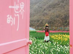 -河南宝泉旅游区