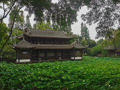 -桂湖森林公园