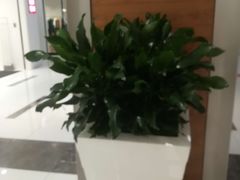 店内环境-远洋未来广场(育慧北路店)