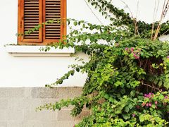 -大小河街
